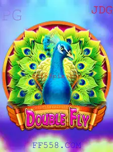 Descubra o Novo e Empolgante Jogo DoubleFly